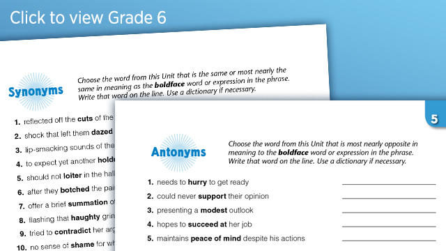 Vocabulary Workshop, Tools for Excellence Experience